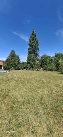 À vendre, terrain plat de 1656 m², constructible,non viabilisé.

 Idéalement situé, à proximité immédiate du centre-ville, des collèges, de la poste, des banques, tout en offrant un cadre verdoyant et calme, comme à la campagne. 

Ne manquez pas cette opportunité rare, contactez-nous pour plus d’informations et pour organiser une visite .