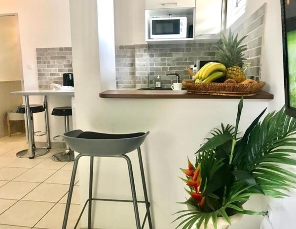 Bel appartement T2 avec jardin