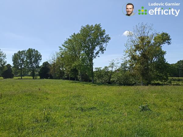Terrain
        
        - 1930 m² 39 900 € *