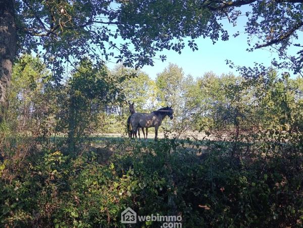 Demeure 315 m² à Vic-Fezensac 32190