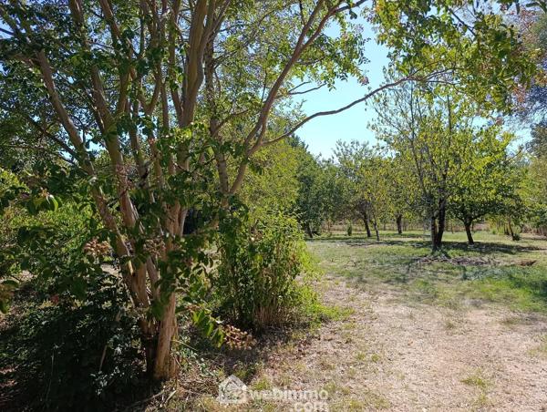 Demeure 315 m² à Vic-Fezensac 32190