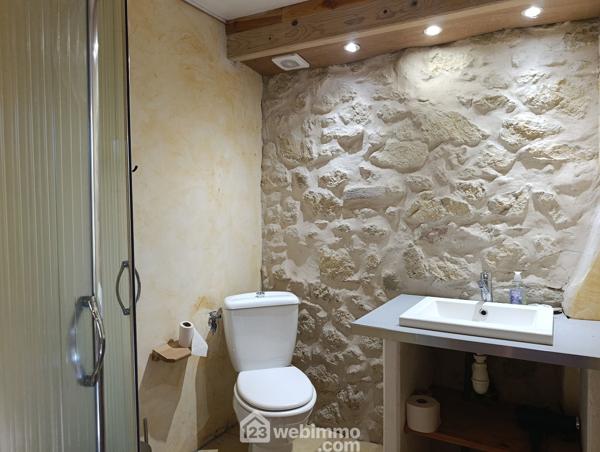 Demeure 315 m² à Vic-Fezensac 32190