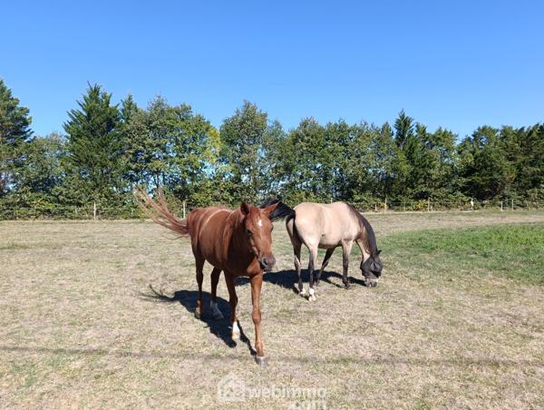 Demeure 315 m² à Vic-Fezensac 32190