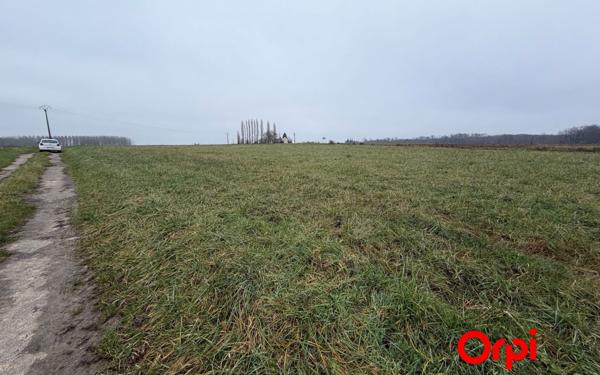 Terrain à vendre    Coincy