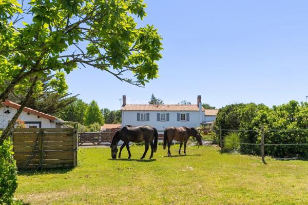 Vente Maison 10 pièces 175 m2 à Challans