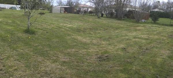 Vente / Terrain constructible