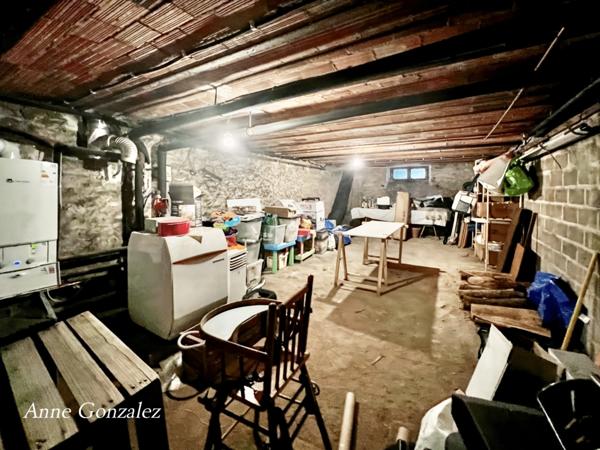 A vendre quartier Dauphine, superbe Maison Bourgeoise cinq chambres, jardin clos et arboré de 570m2 avec piscine récente