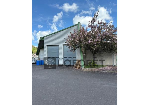 Achat bureau Riom-ès-Montagnes - 580 m² - 256 800 €