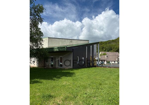 Achat bureau Riom-ès-Montagnes - 580 m² - 256 800 €