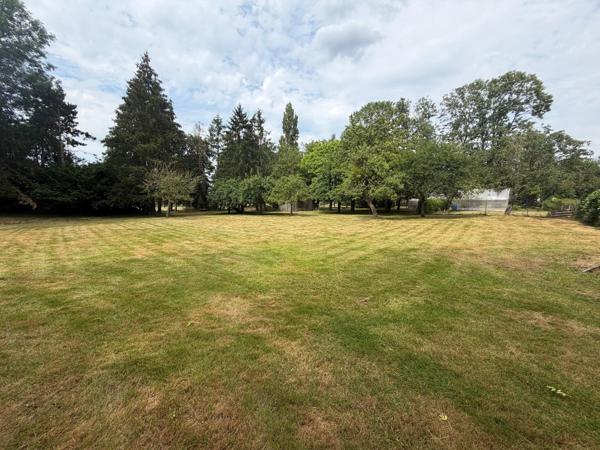 Grand pavillon sur beau terrain et sous-sol complet