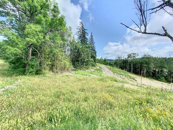 Terrain constructible viabilisé de 724m2