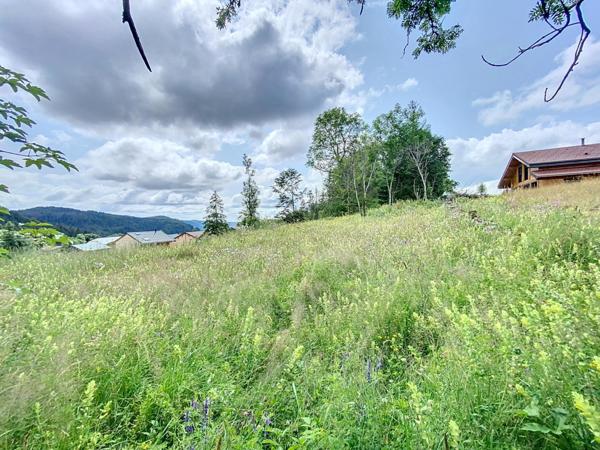 Terrain constructible viabilisé de 724m2