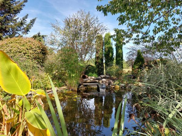 Maison à vendre 7 pièces MONTAUBAN (82) avec chambres d'hôtes, piscine, jardin et dépendance.