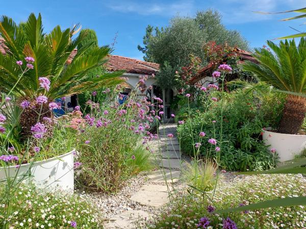 Maison à vendre 7 pièces MONTAUBAN (82) avec chambres d'hôtes, piscine, jardin et dépendance.