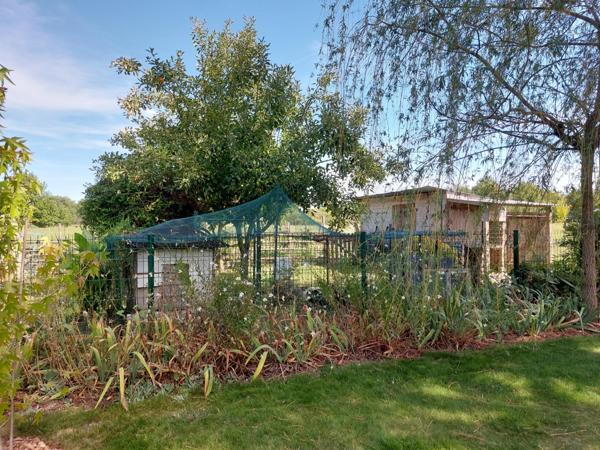 Maison à vendre 7 pièces MONTAUBAN (82) avec chambres d'hôtes, piscine, jardin et dépendance.