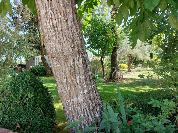 Maison à vendre 7 pièces MONTAUBAN (82) avec chambres d'hôtes, piscine, jardin et dépendance.