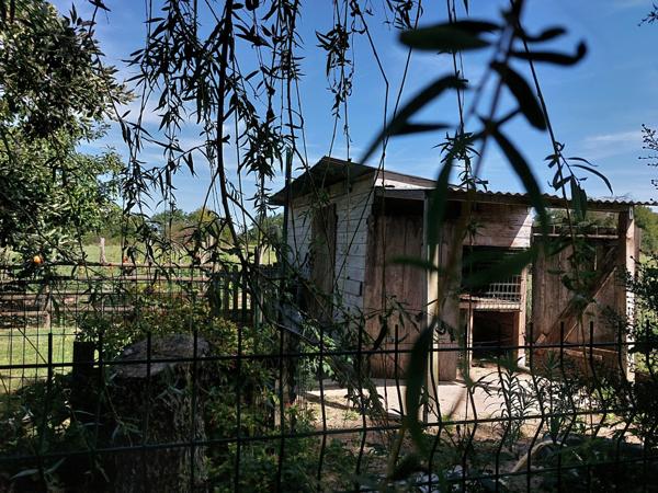 Maison à vendre 7 pièces MONTAUBAN (82) avec chambres d'hôtes, piscine, jardin et dépendance.