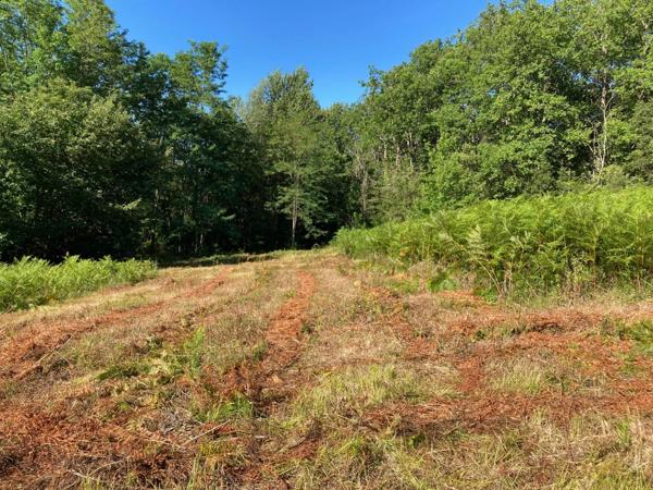Terrain sur Sarlat dans un environnement très calme