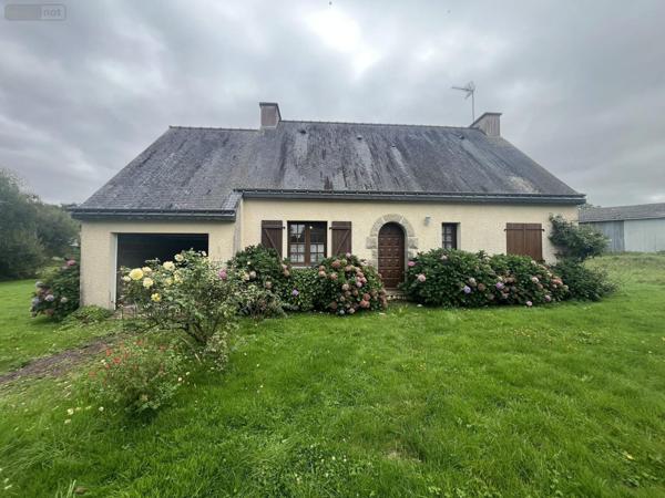 Maison individuelle à vendre à Loyat dans le Morbihan (56800), ref : VM3378-56044