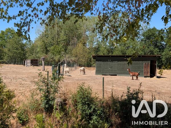 Maison à vendre 10 pièces 407 m² Saint-Dizier-les-Domaines