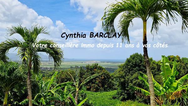 Terrain à LE LAMENTIN (97232)