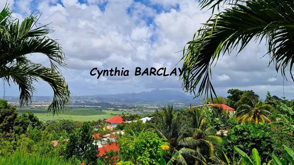 Terrain à LE LAMENTIN (97232)