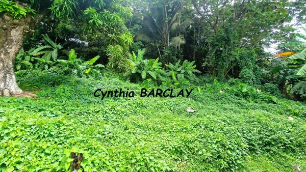 Terrain à LE LAMENTIN (97232)