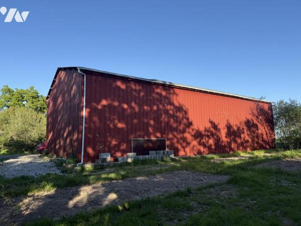 NIEUL LE DOLENT Hangar de 261m²