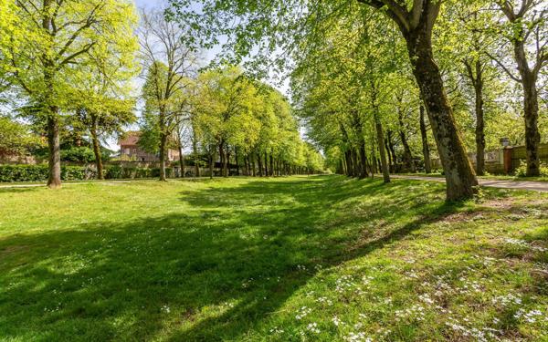 Maison à vendre    5 pièces •  Montgeron