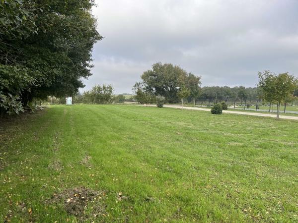 TERRAIN CONSTRUCTIBLE VIABILISE