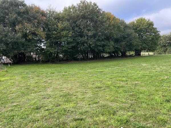 TERRAIN CONSTRUCTIBLE VIABILISE