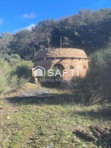 Terrain Agricole avec Mazet