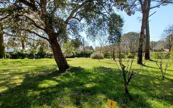 Terrain à vendre    Azur