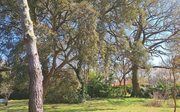 Terrain à vendre    Azur