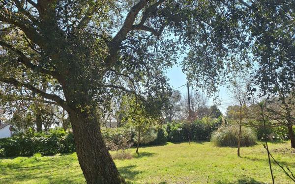 Terrain à vendre    Azur