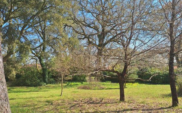 Terrain à vendre    Azur