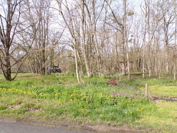 Terrain constructible