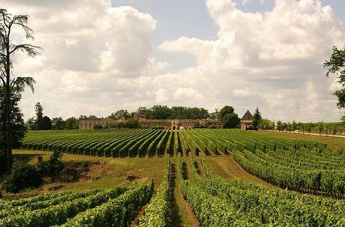 Vente murs / Château / Domaine