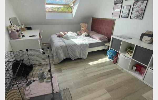 Vente Maison Pont-sur-yonne
