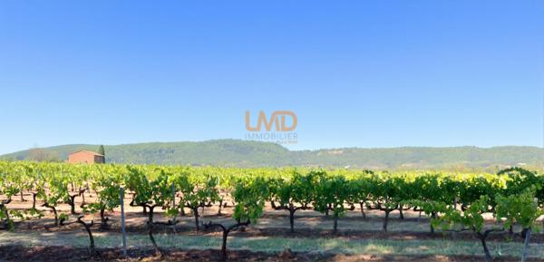 Domaine viticole en Provence avec 3 habitations 18 ha fort potentiel