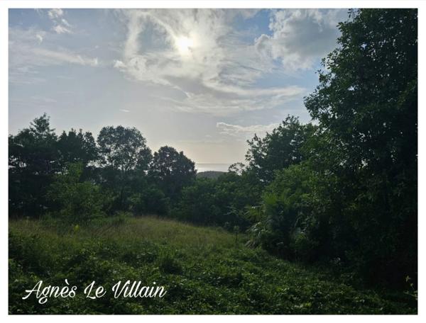 Terrain de 2 983 m2 à Bouillante