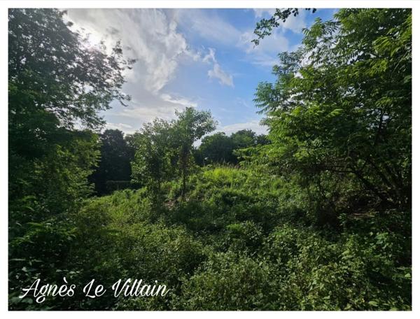 Terrain de 2 983 m2 à Bouillante
