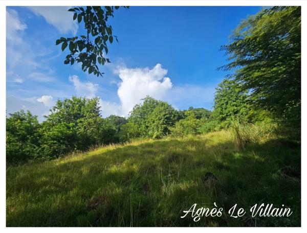 Terrain de 2 983 m2 à Bouillante