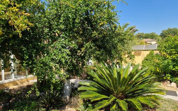 Maison à vendre    4 pièces •  Mèze