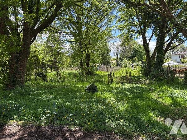 Immeuble en centre ville de Casteljaloux composé de 3 logements, avec cave, garage et jardin !