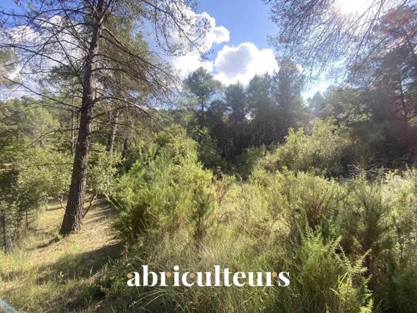 Terrain constructible de 2 653 m² La-Roque-d'Anthéron (13640)