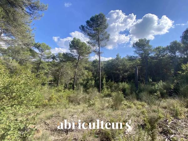 Terrain constructible de 2 653 m² La-Roque-d'Anthéron (13640)