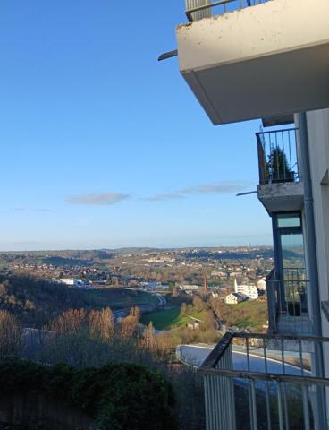 LOCATION T1BIS MEUBLE RODEZ SANS FRAIS D'AGENCE