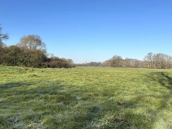 Superbe propriété équestre avec Maison de Maître, deux annexes, trois écuries, au milieu de 25ha de terres, entre Bordeaux et Bergerac.