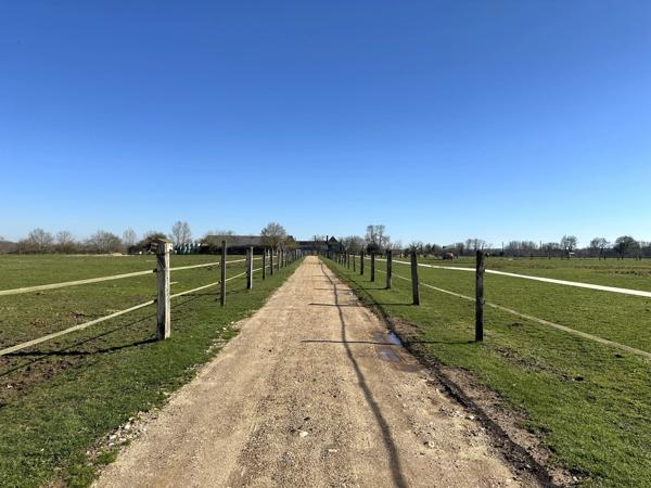 Superbe propriété équestre avec Maison de Maître, deux annexes, trois écuries, au milieu de 25ha de terres, entre Bordeaux et Bergerac.